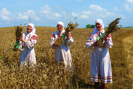 Дубровно, Беларусь, Дубровенский район, Витебская область, Урожай 2011, жатва, уборка, Зажинки