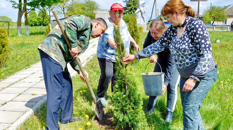 Дубровно,благоустройство